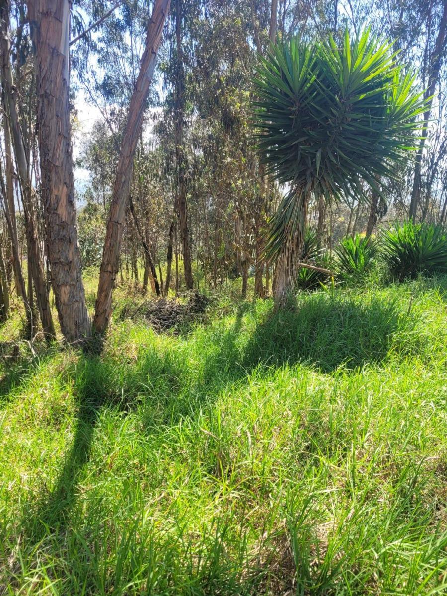 Terreno de Venta en Nayón — imagen 7