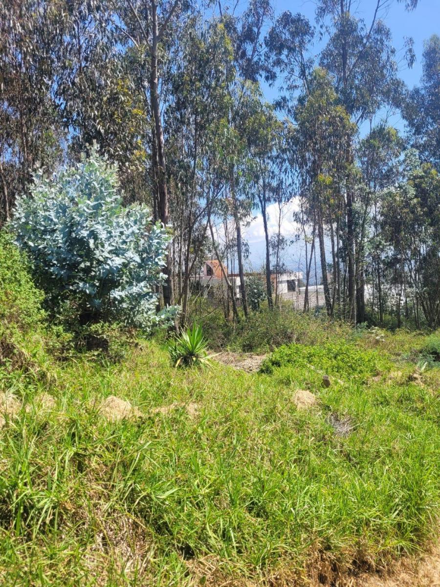 Terreno de Venta en Nayón — imagen 3