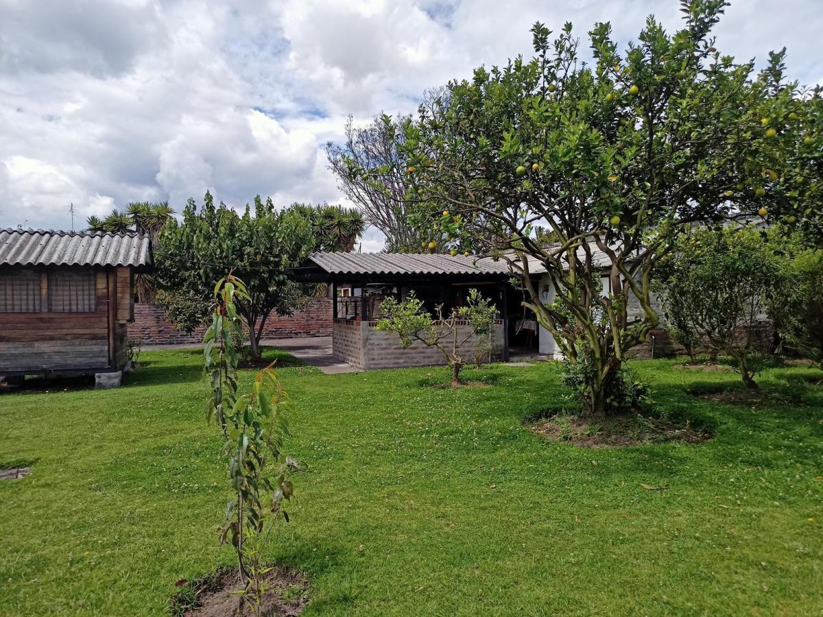 Conocoto 2 Casas de Una Planta en Venta Cerca Av Ilalo Ideal Para Geriátrico, Escuela — imagen 6