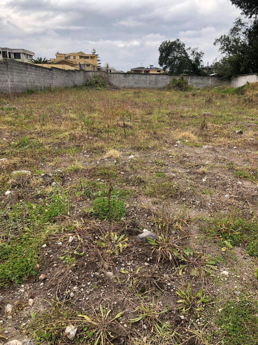 Terreno de Venta en Conocoto Sectro San Jose, Gribaldo Miño (Municipio) — imagen 3