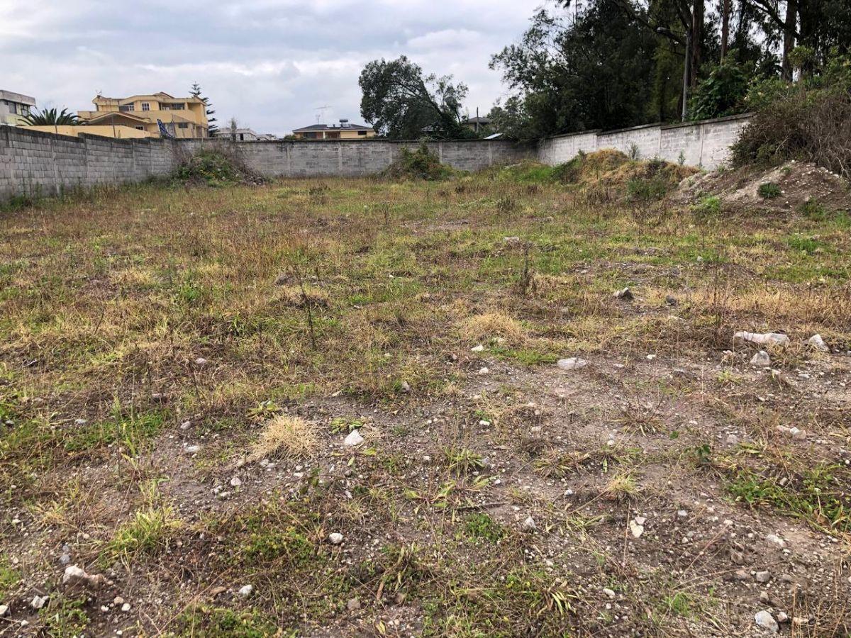 Terreno de Venta en Conocoto Sectro San Jose, Gribaldo Miño (Municipio) — imagen 2