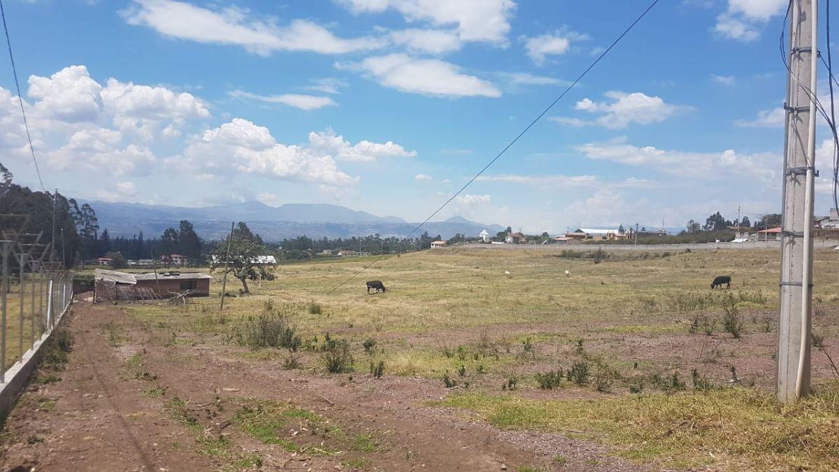 Terreno de Venta Sector Aeropuerto, a Cuatro Cuadras de Redondel de Alpachaca y de Gasolinera Primax — imagen 6