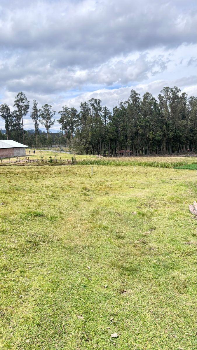 Terreno de Venta Sector Aeropuerto, a Cuatro Cuadras de Redondel de Alpachaca y de Gasolinera Primax — imagen 5
