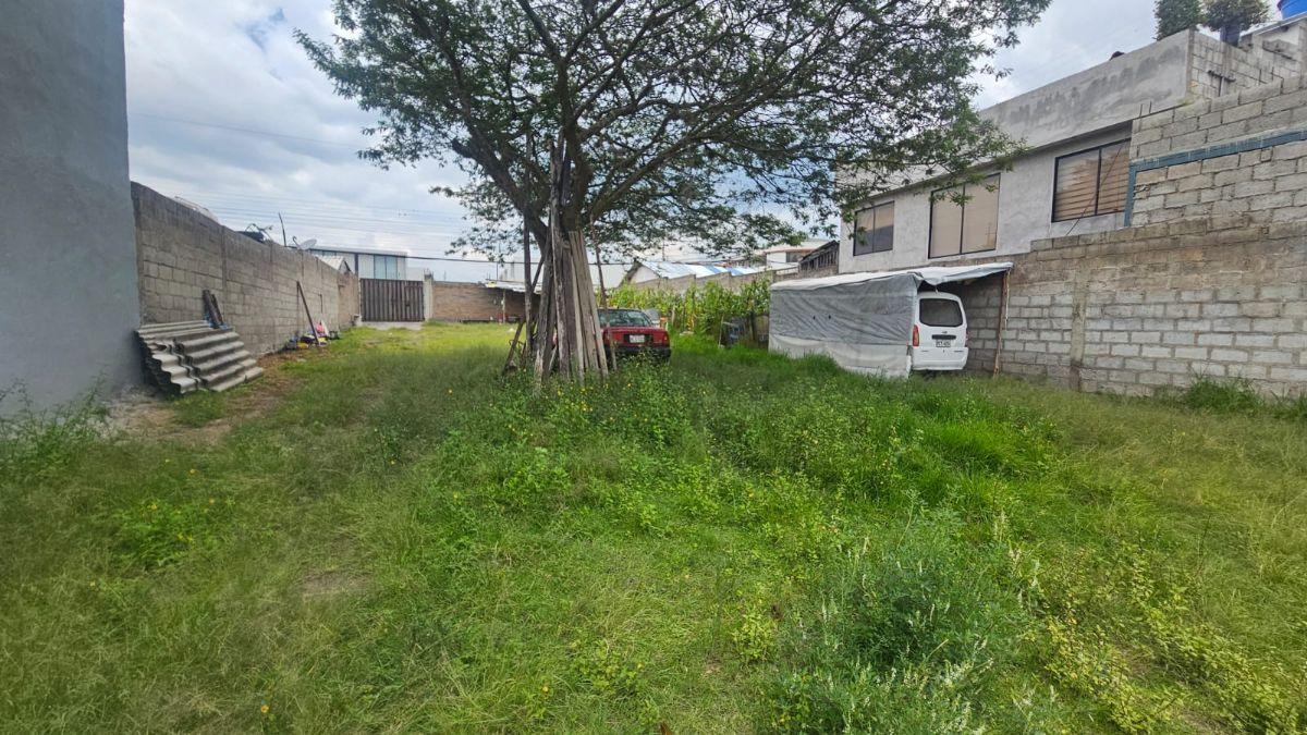 Terreno en Venta – Tumbaco, Sector La Morita — imagen 8