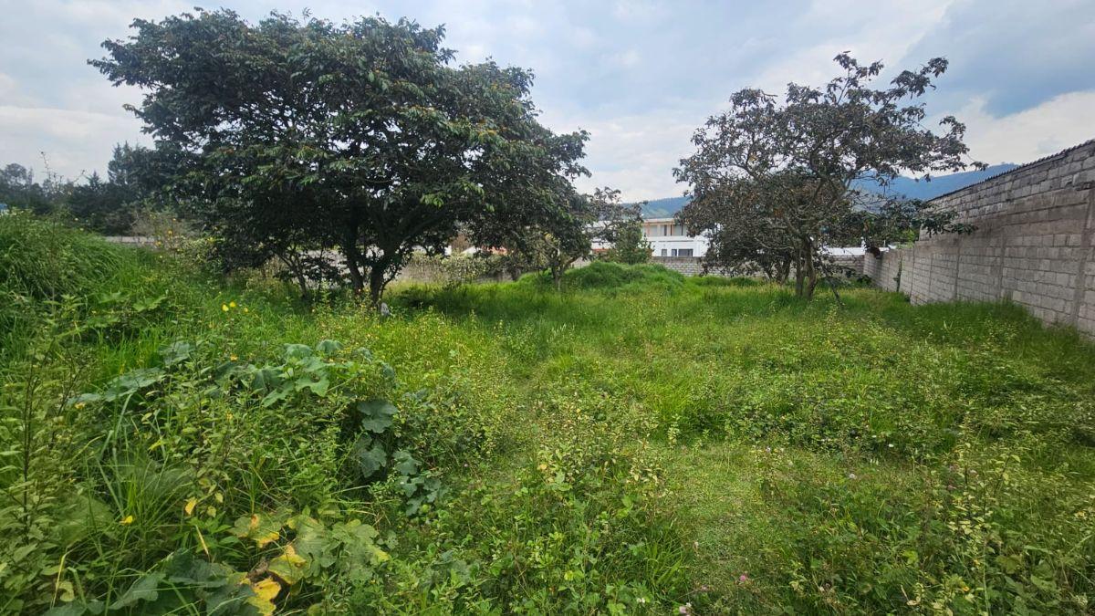 Terreno en Venta – Tumbaco, Sector La Morita — imagen 7