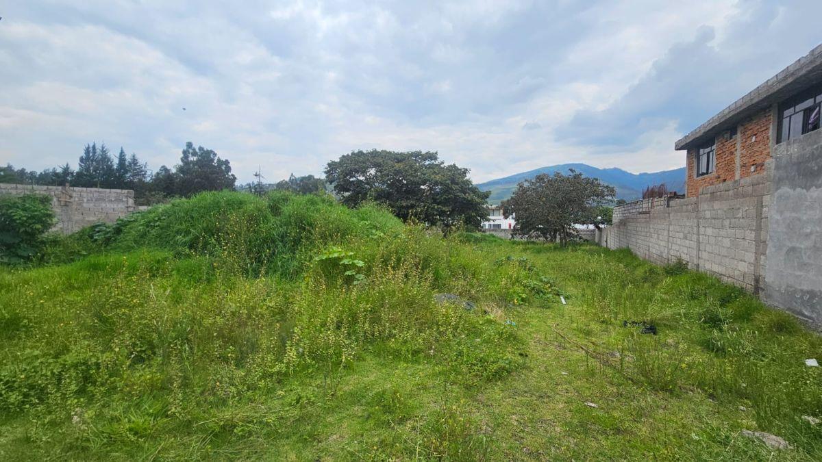 Terreno en Venta – Tumbaco, Sector La Morita — imagen 6