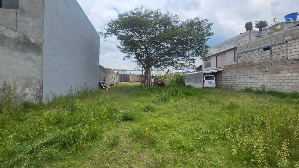 Terreno en Venta – Tumbaco, Sector La Morita — imagen 5
