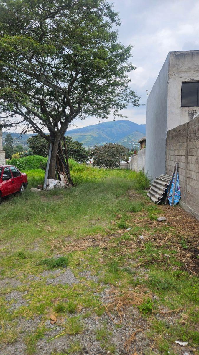 Terreno en Venta – Tumbaco, Sector La Morita — imagen 4