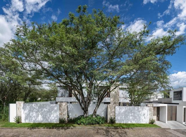 Vendo Casa en Puembo, 3 Dorm. con Espacio Verde y Arboles Importantes — imagen 4