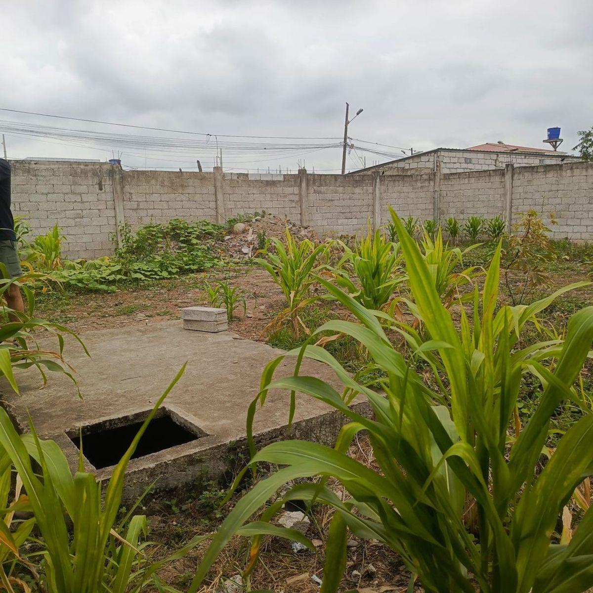 Se Vende Terreno con Cerramiento en La Primavera, El Oro — imagen 4