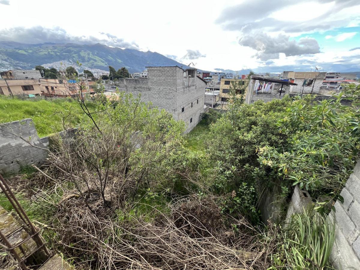 Terreno en San José de Monjas — imagen 8