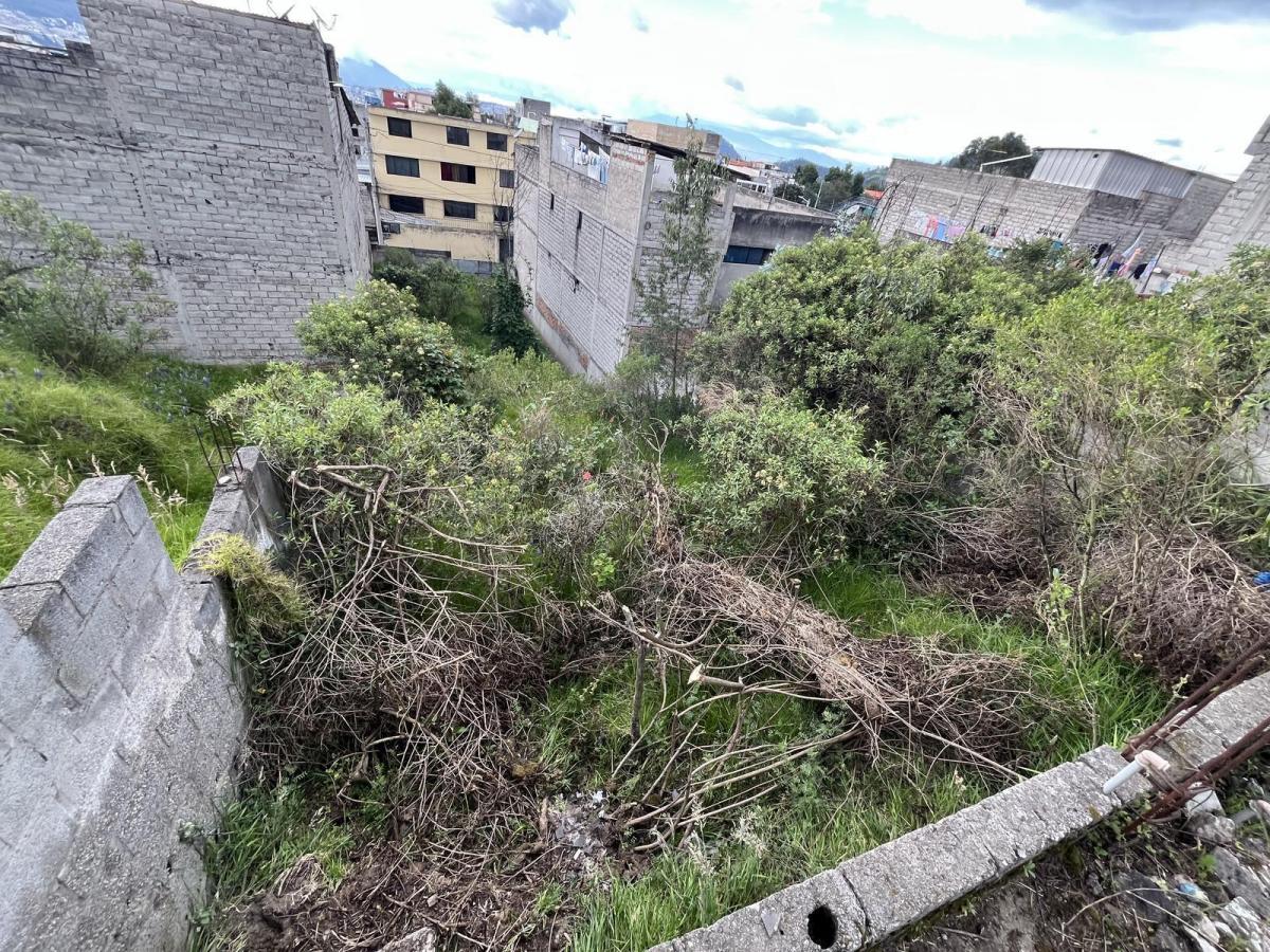 Terreno en San José de Monjas — imagen 6