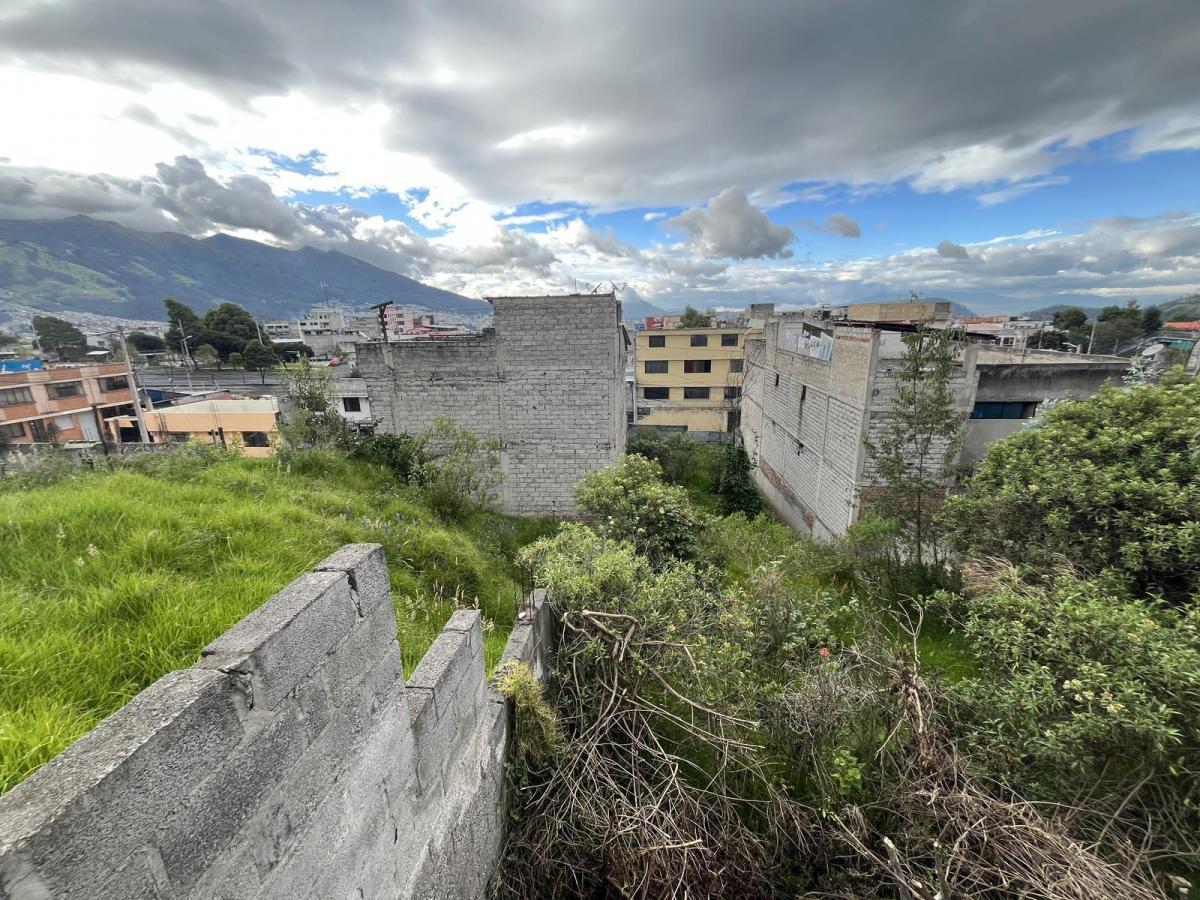 Terreno en San José de Monjas — imagen 4