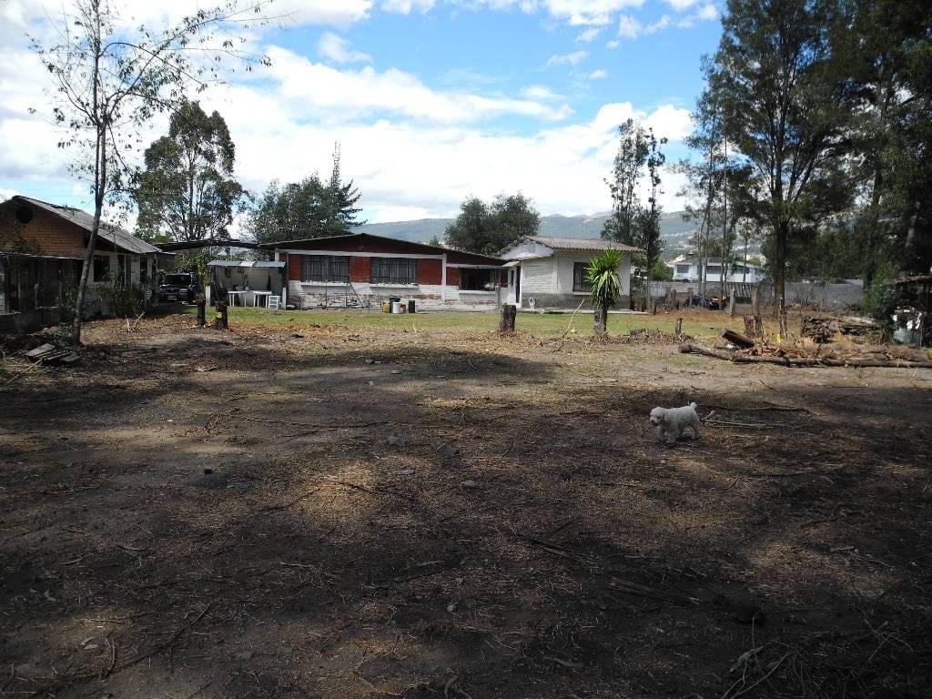 Venta de Terreno Los Chilllos 5480 m Sector Armenia — imagen 10