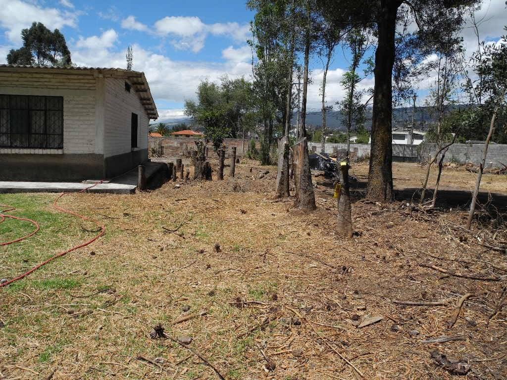 Venta de Terreno Los Chilllos 5480 m Sector Armenia — imagen 8