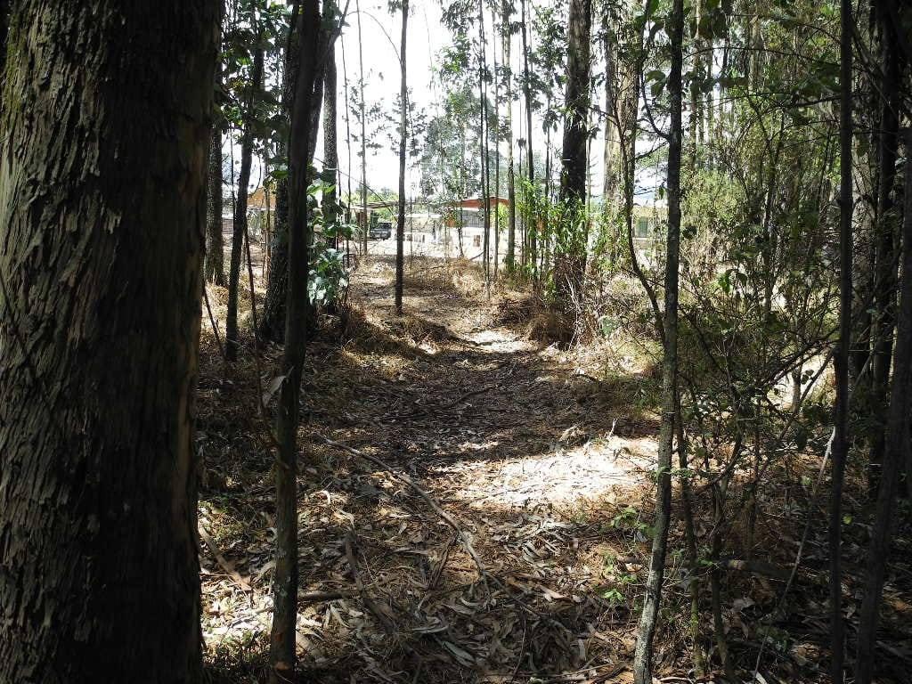 Venta de Terreno Los Chilllos 5480 m Sector Armenia — imagen 7
