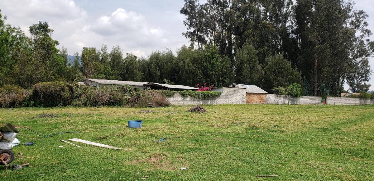 Venta de Terreno Los Chilllos 5480 m Sector Armenia — imagen 6