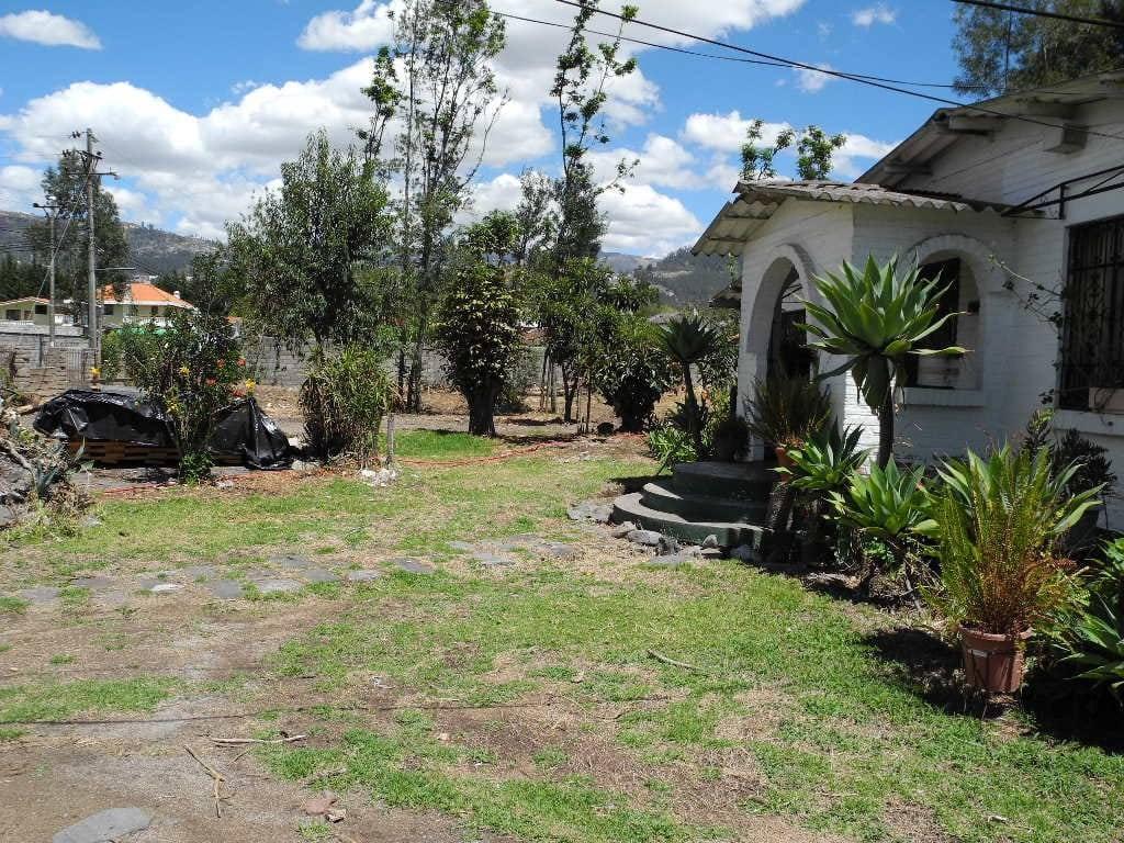 Venta de Terreno Los Chilllos 5480 m Sector Armenia — imagen 4