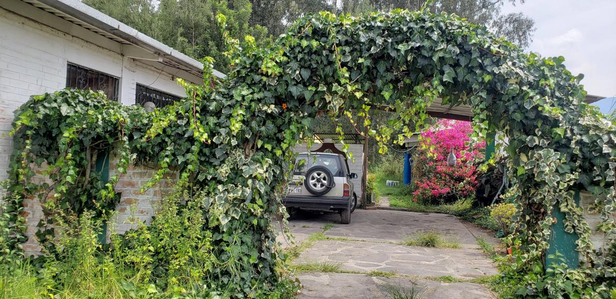 Venta de Terreno Los Chilllos 5480 m Sector Armenia — imagen 3