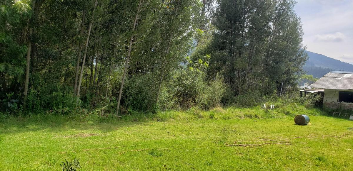 Venta de Terreno Los Chilllos 5480 m Sector Armenia — imagen 2
