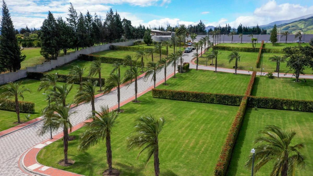 Venta Terrenos Urbanizacion de Primera - Puembo — imagen 8