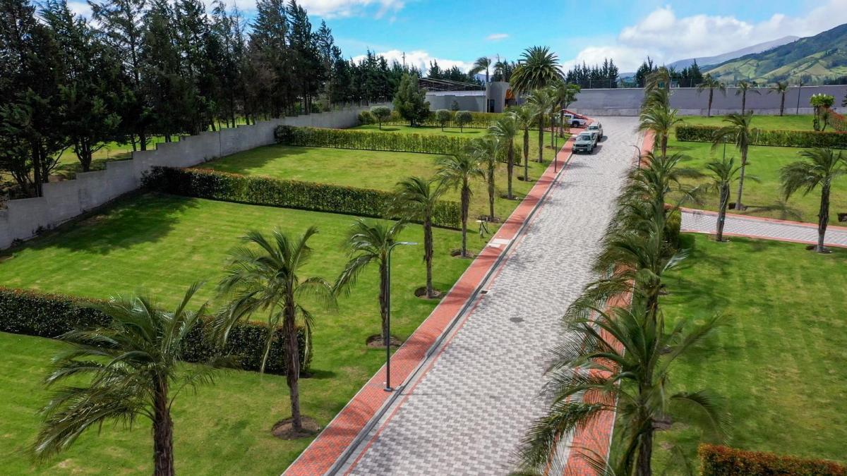 Venta Terrenos Urbanizacion de Primera - Puembo — imagen 6