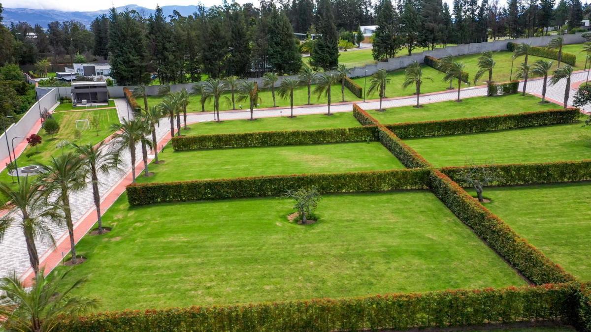 Venta Terrenos Urbanizacion de Primera - Puembo — imagen 4