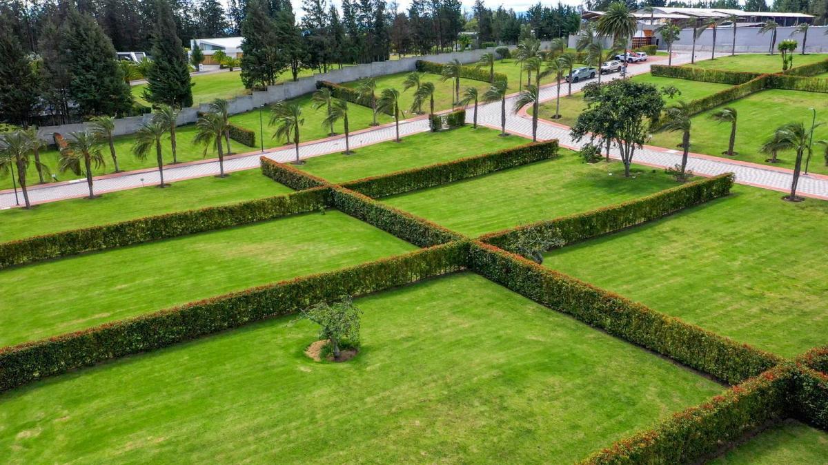 Venta Terrenos Urbanizacion de Primera - Puembo — imagen 3