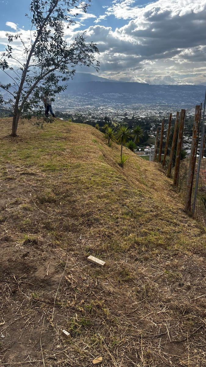 Vendo Terreno de 1.234 m² en La Tola Grande - Luzon — imagen 6