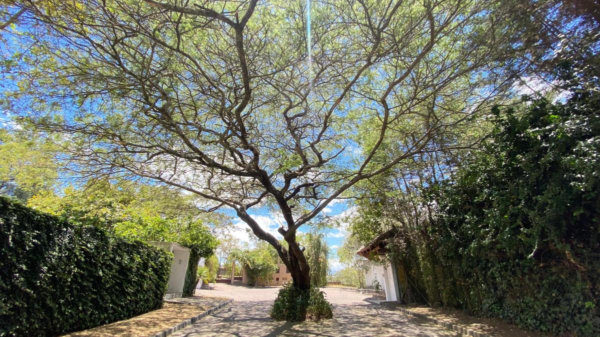 Huayraloma Nayon – Terreno 1.940 m² en Entorno Natural, Urbanización Exclusiva — imagen 8