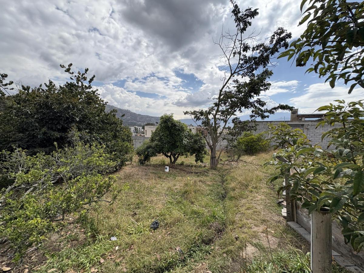Terreno de Venta Para Conjunto La Morita Tumbaco — imagen 3