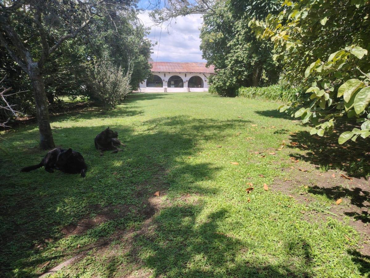 Terreno de Venta en Puembo, Sector Polo, Amplia Plusvalía, Buen Precio, Plano — imagen 10