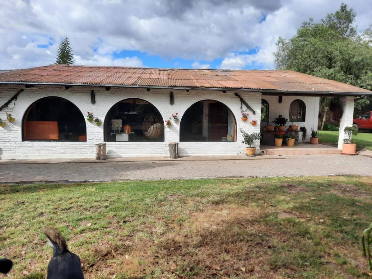 Terreno de Venta en Puembo, Sector Polo, Amplia Plusvalía, Buen Precio, Plano — imagen 7