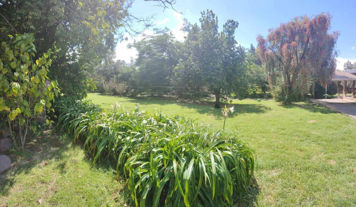 Terreno de Venta en Puembo, Sector Polo, Amplia Plusvalía, Buen Precio, Plano — imagen 6