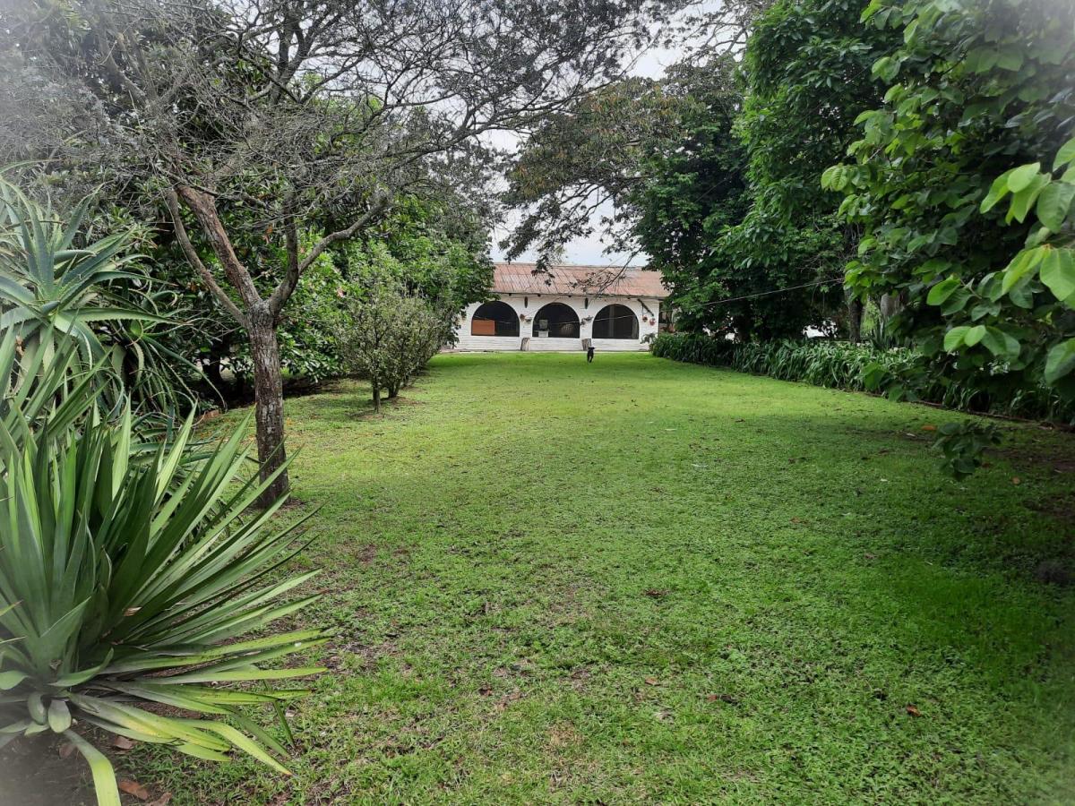 Terreno de Venta en Puembo, Sector Polo, Amplia Plusvalía, Buen Precio, Plano — imagen 2