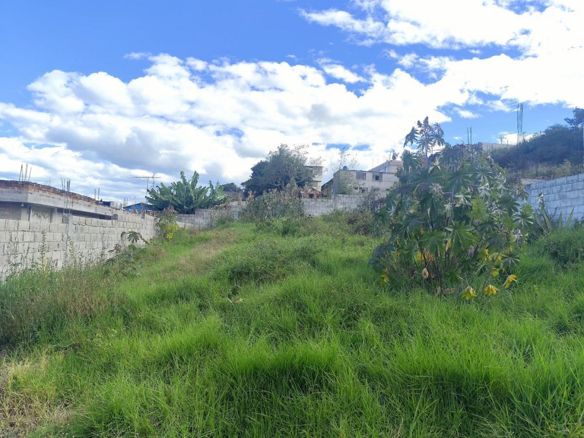 Terreno en Venta San Francisco de Pinsha, Cumbayá Disponibles 2 Lotes 320 m² y 393 m² Precio Negocia — imagen 10