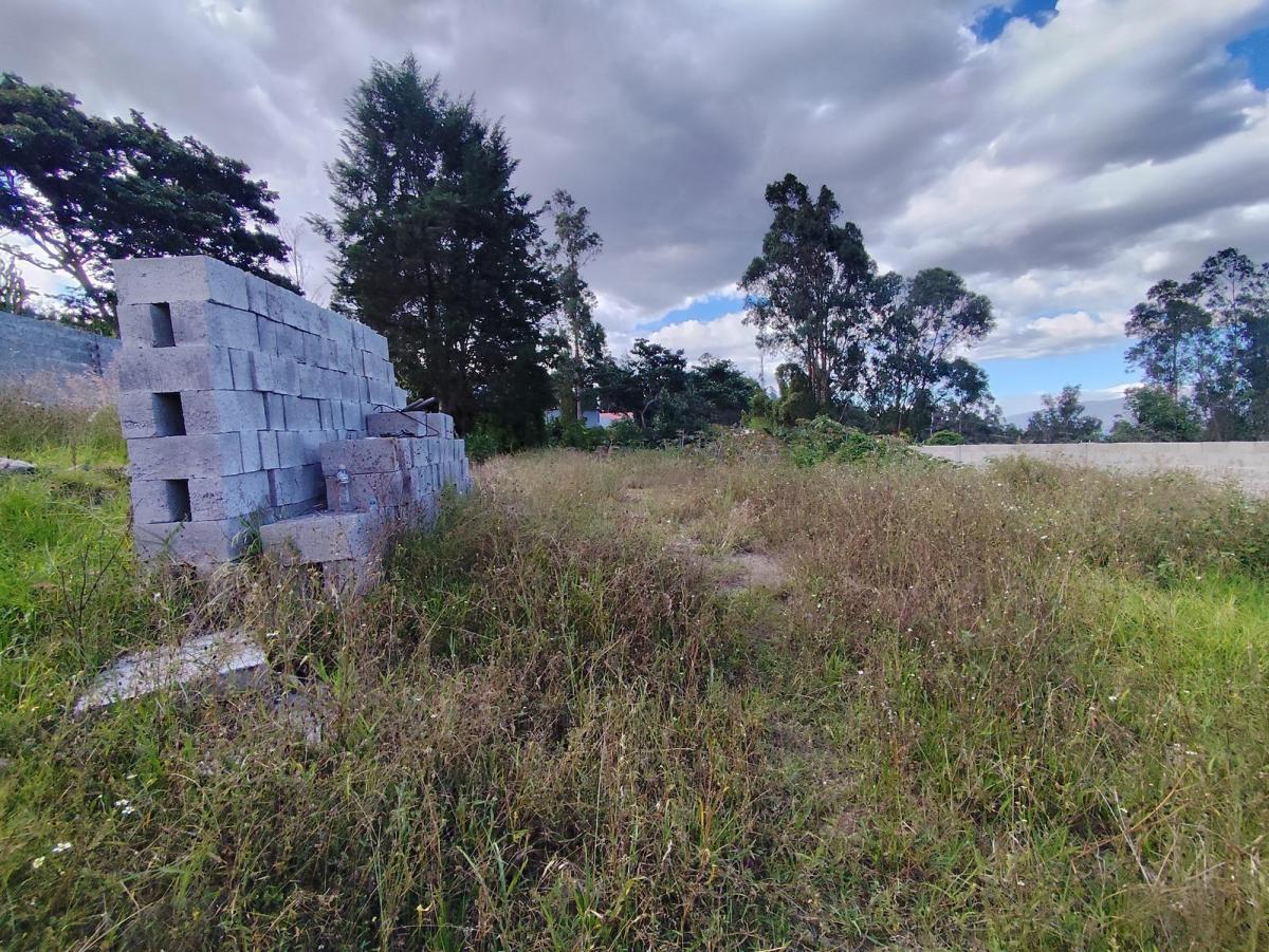 Terreno en Venta San Francisco de Pinsha, Cumbayá Disponibles 2 Lotes 320 m² y 393 m² Precio Negocia — imagen 7