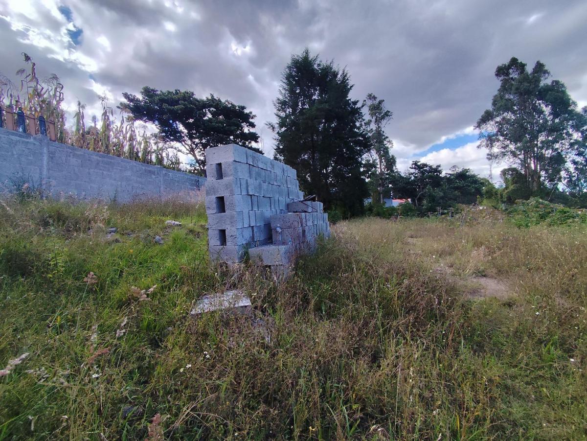 Terreno en Venta San Francisco de Pinsha, Cumbayá Disponibles 2 Lotes 320 m² y 393 m² Precio Negocia — imagen 6