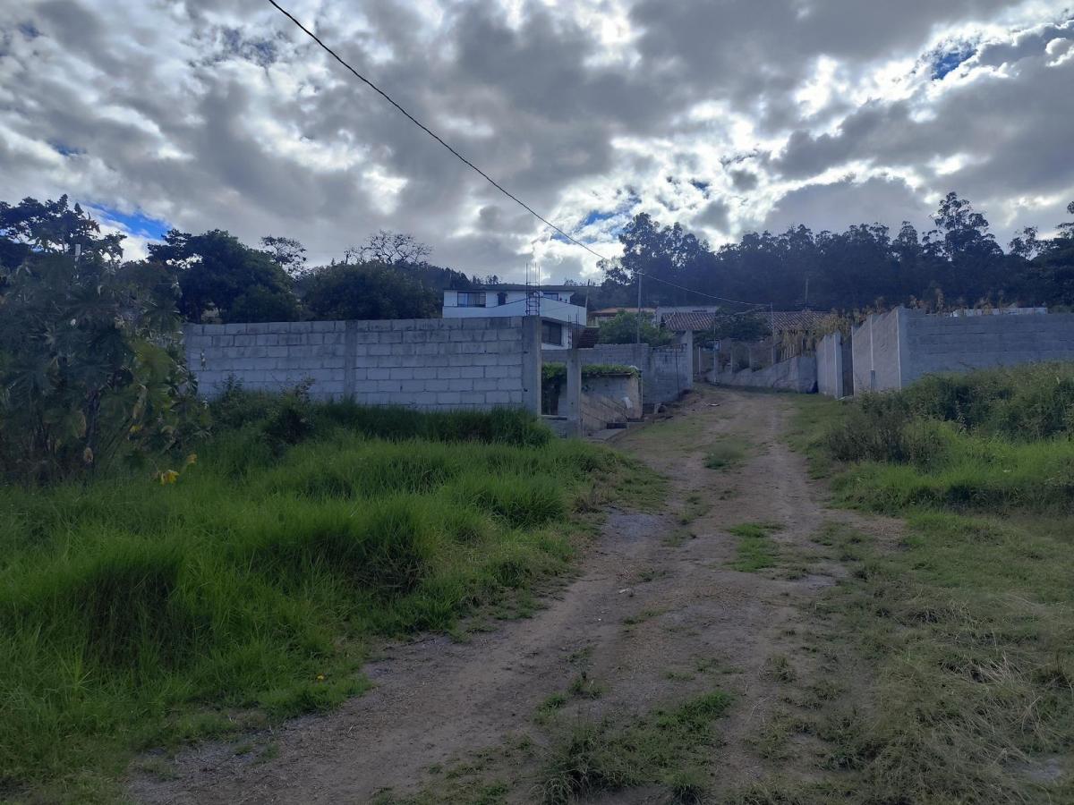 Terreno en Venta San Francisco de Pinsha, Cumbayá Disponibles 2 Lotes 320 m² y 393 m² Precio Negocia — imagen 5