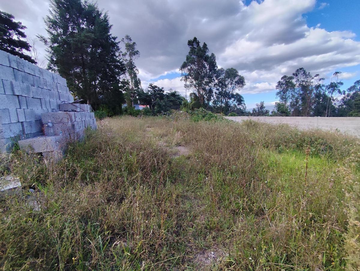 Terreno en Venta San Francisco de Pinsha, Cumbayá Disponibles 2 Lotes 320 m² y 393 m² Precio Negocia — imagen 3