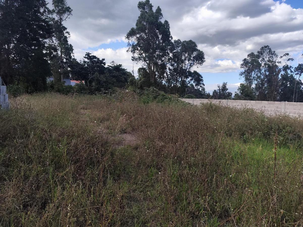 Terreno en Venta San Francisco de Pinsha, Cumbayá Disponibles 2 Lotes 320 m² y 393 m² Precio Negocia — imagen 2