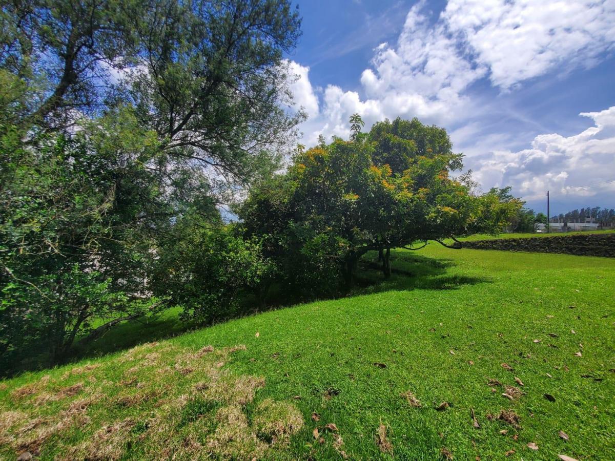 Terreno en Conocoto — imagen 8