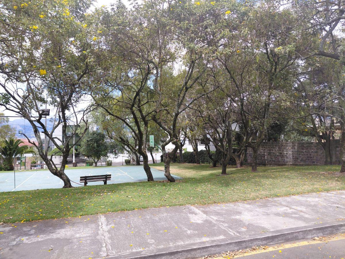 Vendo Suite Remodelada de 64 m² a Pasos de Usfq, Edificio de Solo Suites — imagen 9