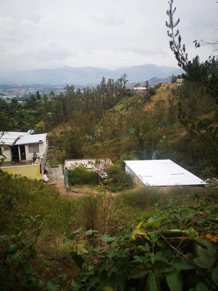 Vendo Terreno Comunal en Tumbaco Sector Ocaña — imagen 10