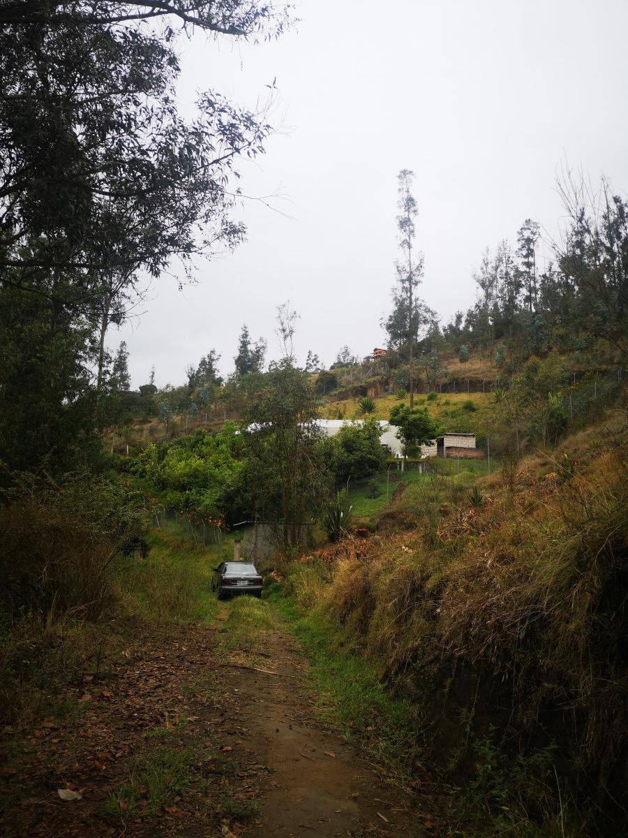 Vendo Terreno Comunal en Tumbaco Sector Ocaña — imagen 9