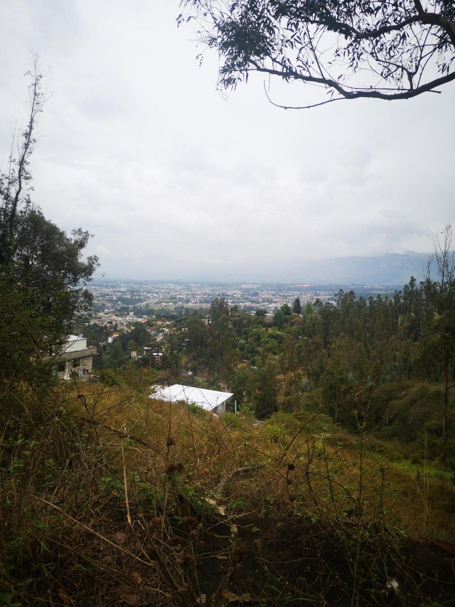 Vendo Terreno Comunal en Tumbaco Sector Ocaña — imagen 8