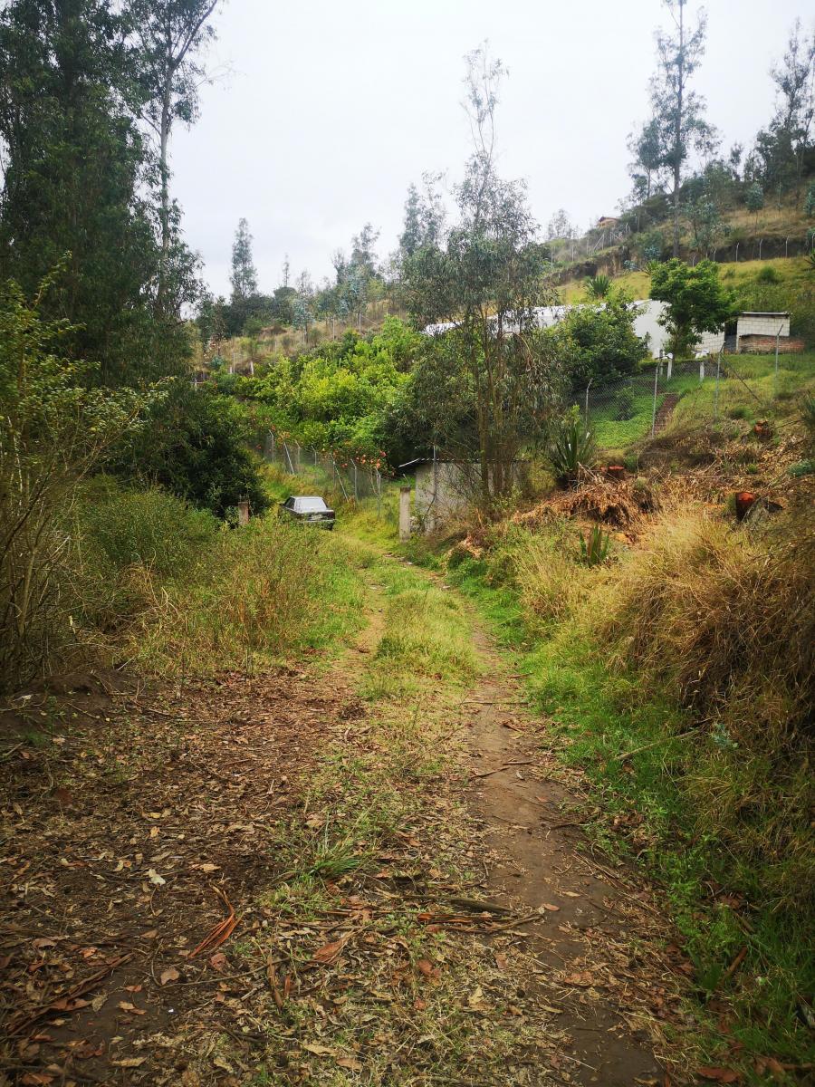 Vendo Terreno Comunal en Tumbaco Sector Ocaña — imagen 7