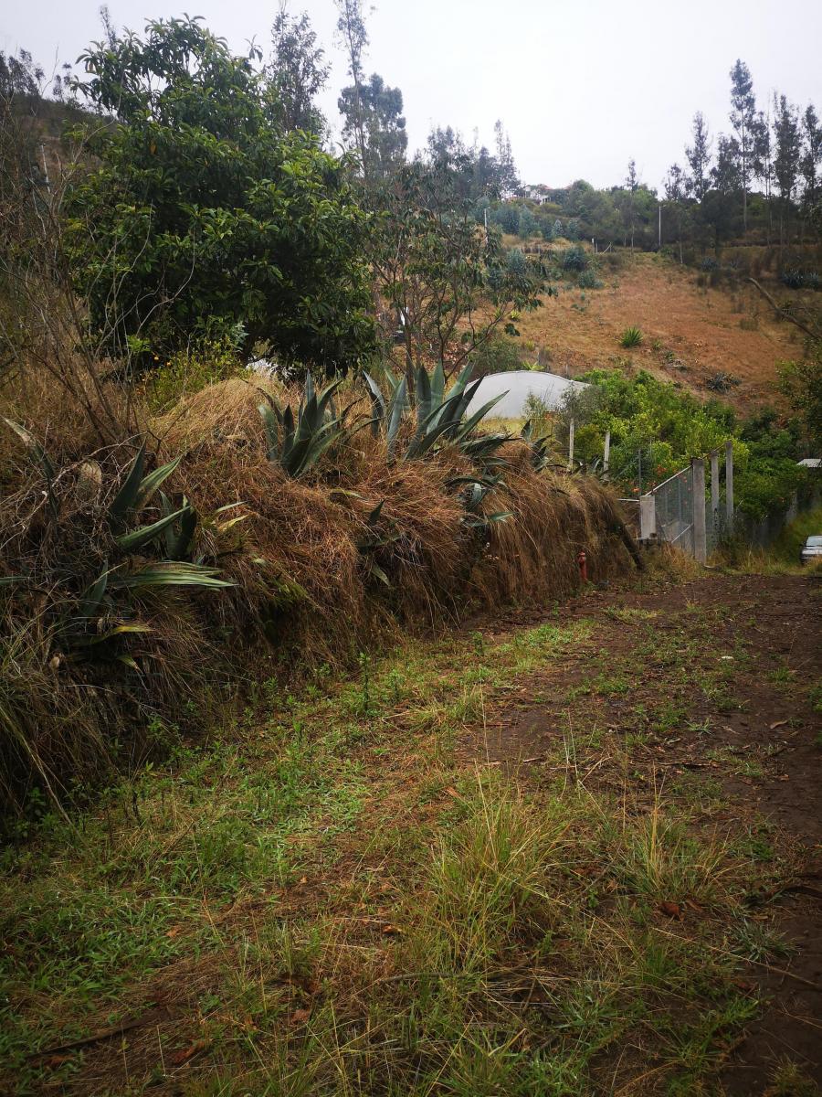 Vendo Terreno Comunal en Tumbaco Sector Ocaña — imagen 5