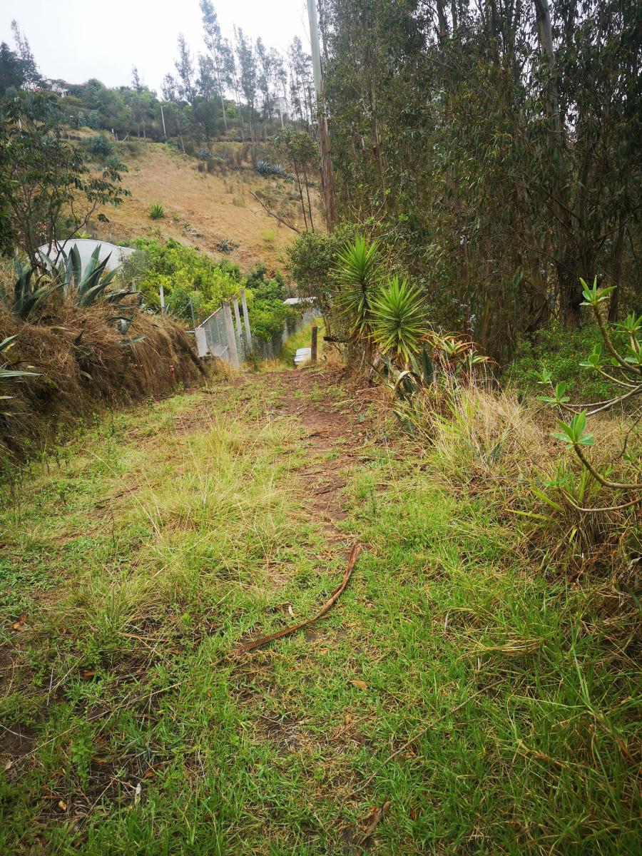 Vendo Terreno Comunal en Tumbaco Sector Ocaña — imagen 4