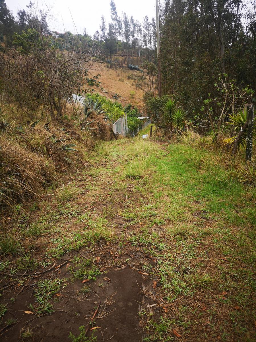 Vendo Terreno Comunal en Tumbaco Sector Ocaña — imagen 2
